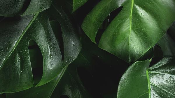 Finding Calm in a Noisy World