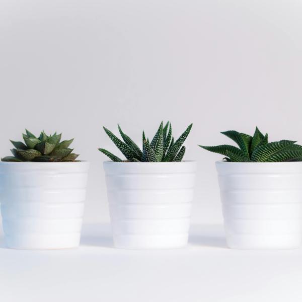 Plant pot 3pcs